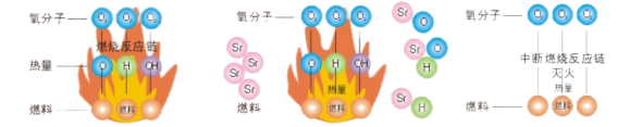 圖片3.png